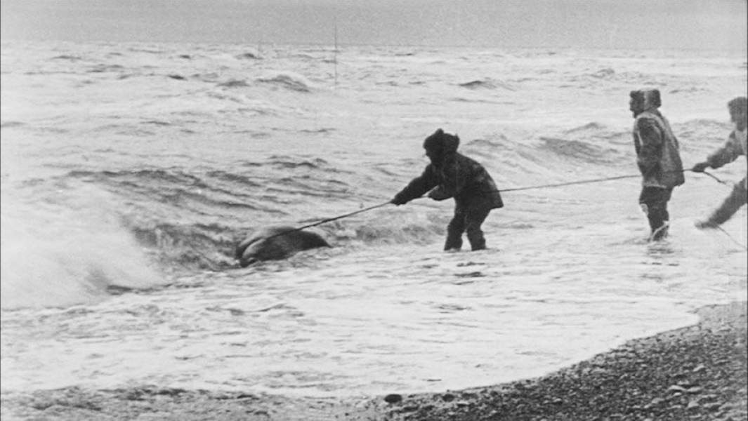 Кадр из фильма «Нанук с севера»