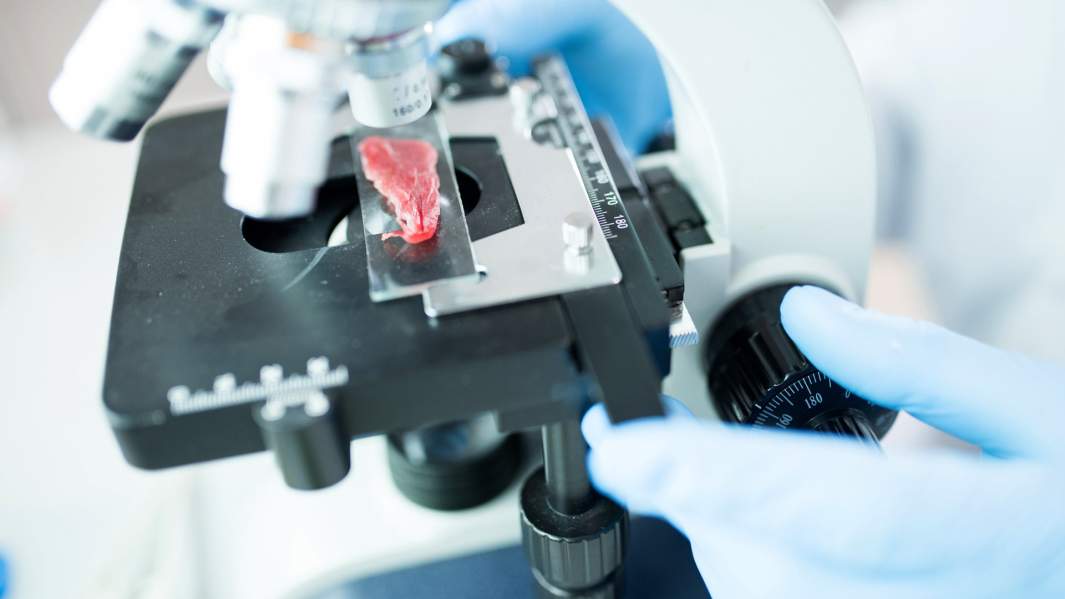 лаборатория 