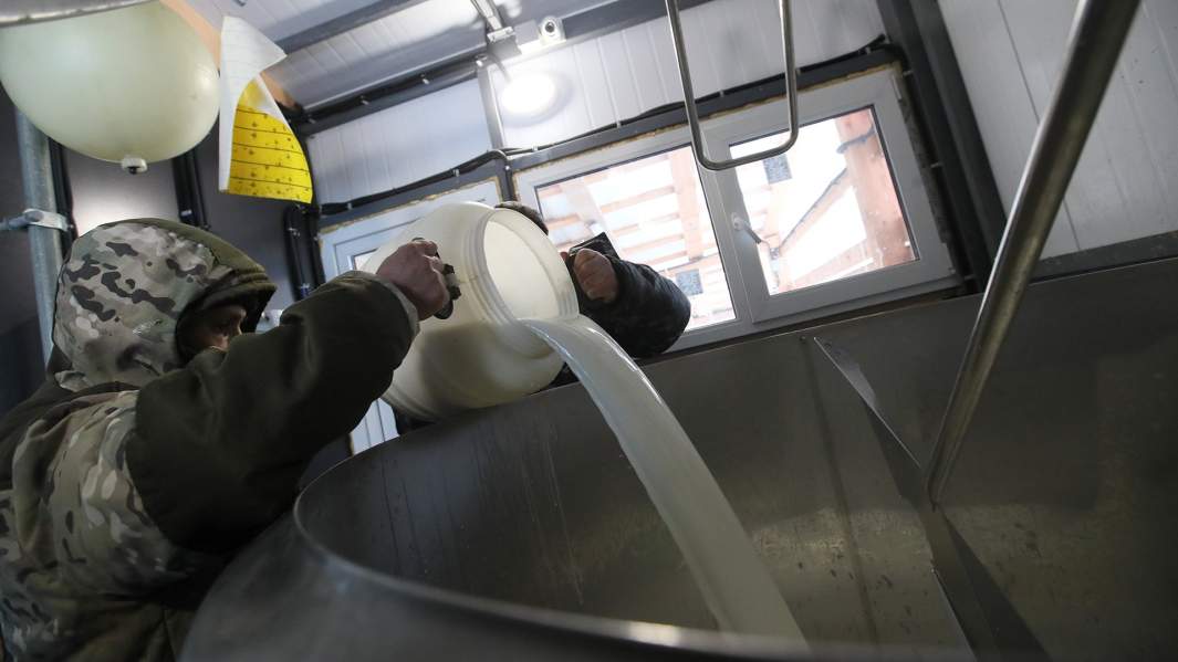 молочная ферма