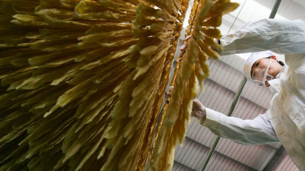 Производство соевых продуктов в Китае