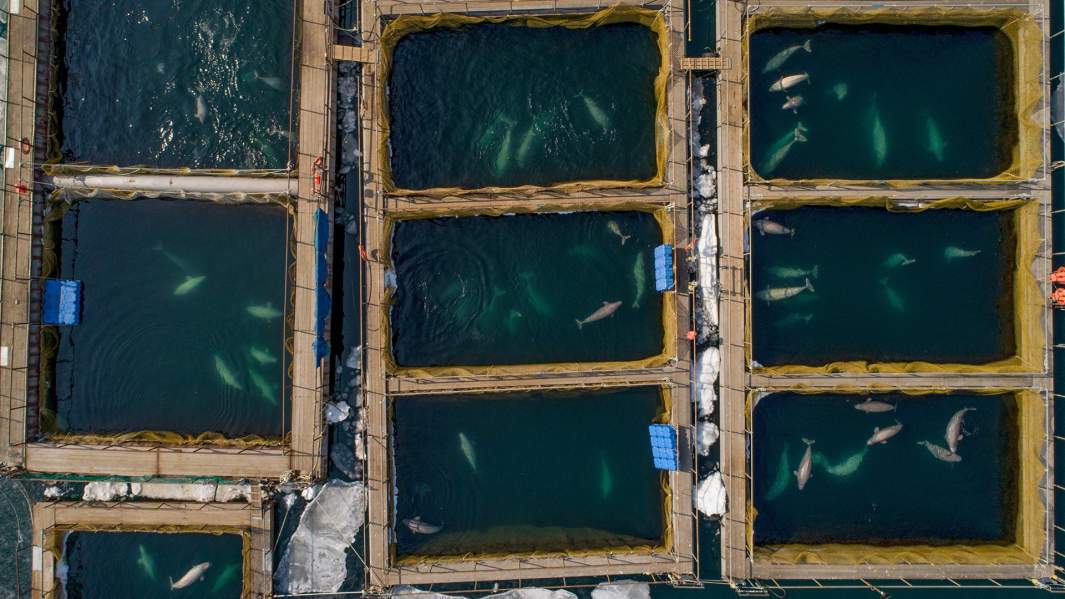 Вид на вольеры Центра адаптации морских животных в Средней бухте