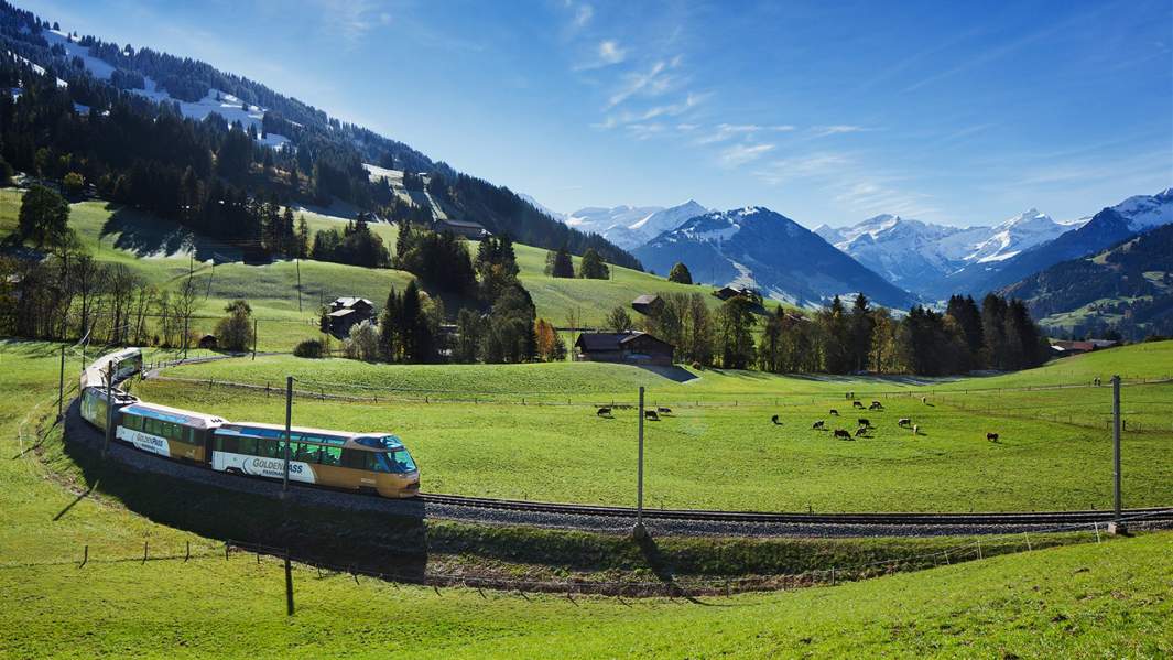 сырный поезд