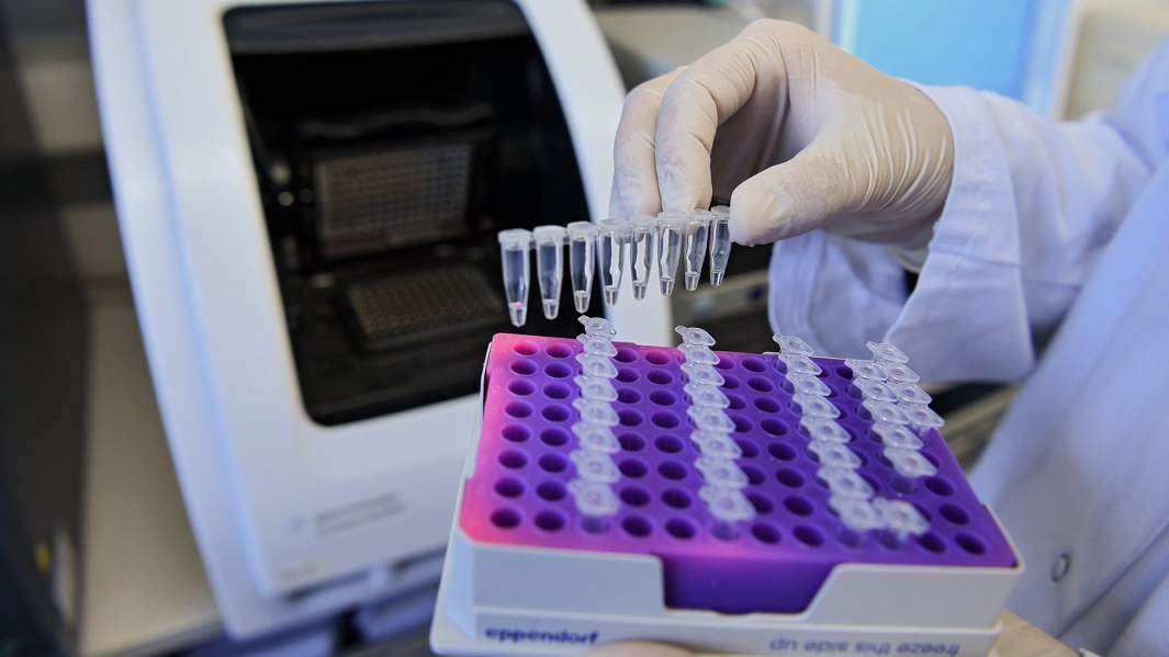 Лаборатория 