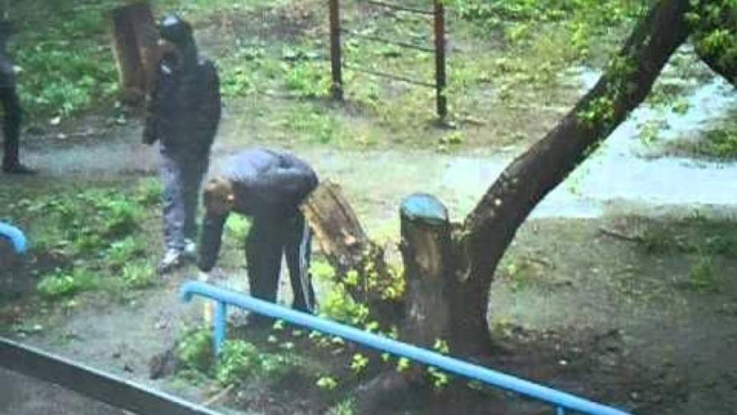 Молодые люди ищут закладку в клумбе во дворе жилого дома в Нижнем Тагиле