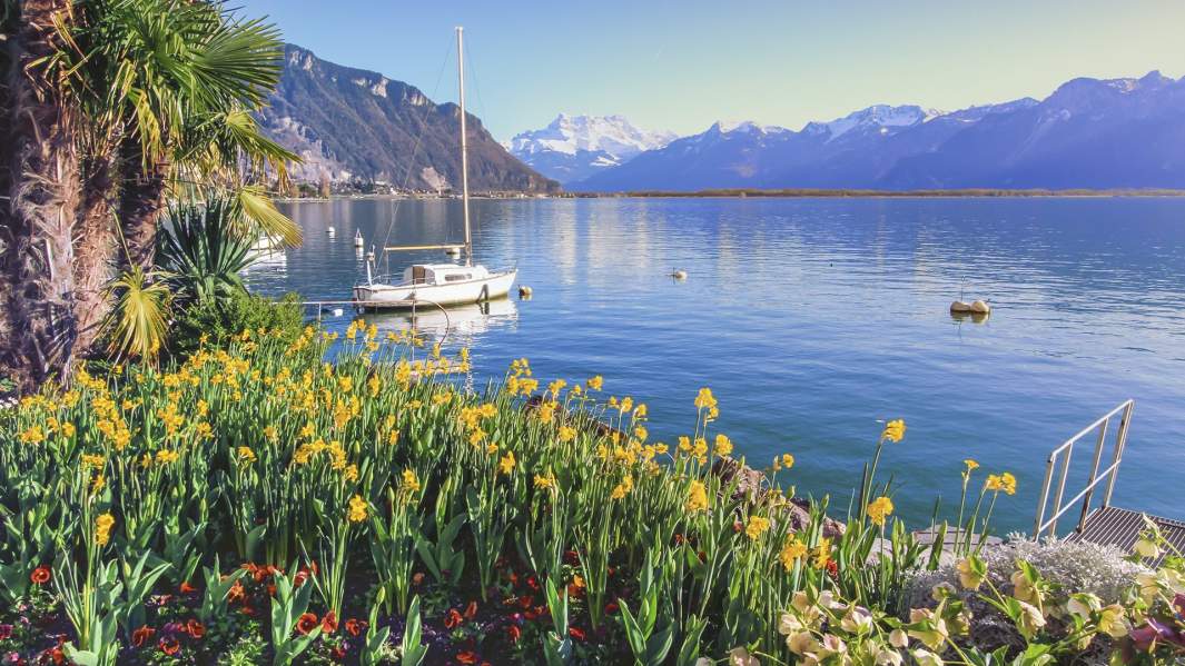 Весна в Монтре