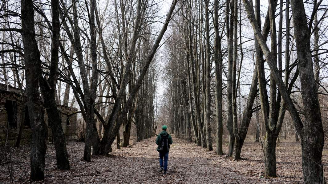 Заброшенный парк в деревне Савичи на территории Полесского радиационно-экологического заповедника в Белоруссии