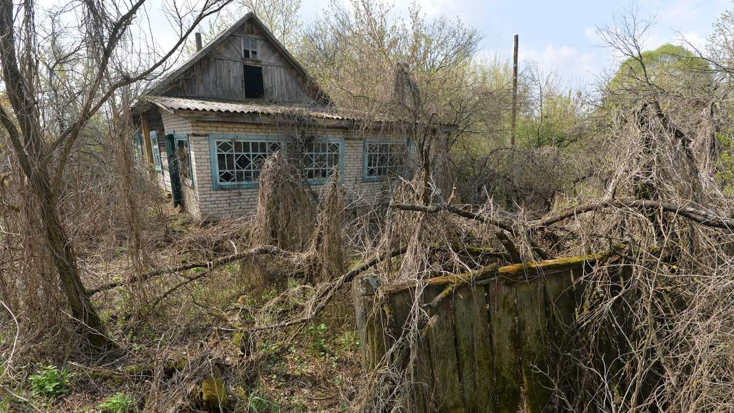 Заброшенный дом в деревне Дроньки на территории Полесского государственного радиационно-экологического заповедника