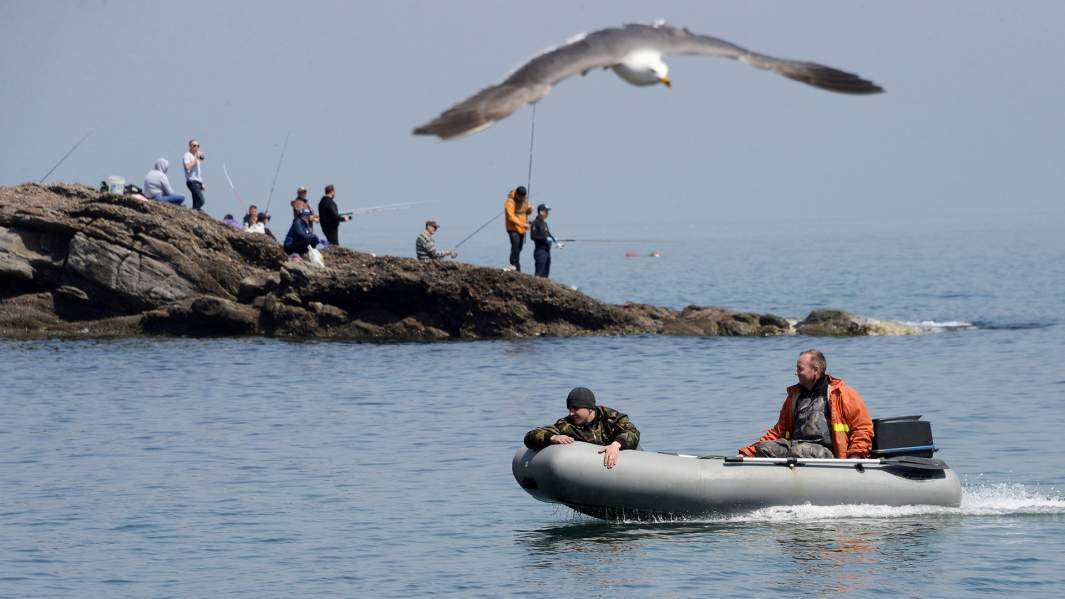 Моторная лодка 