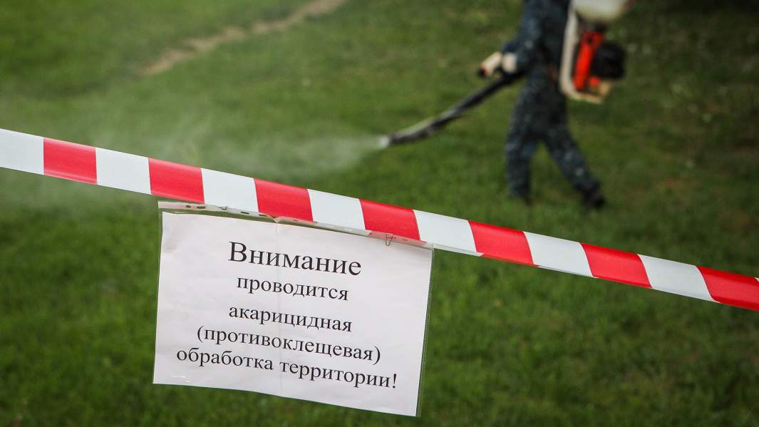 Клещи