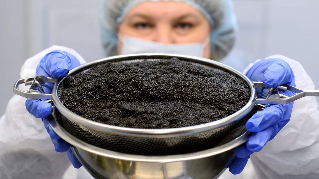 черная икра