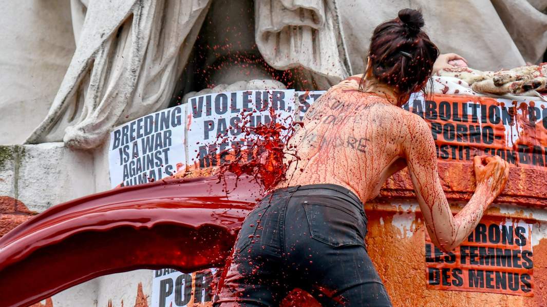 Митинг за права женщин в Париже