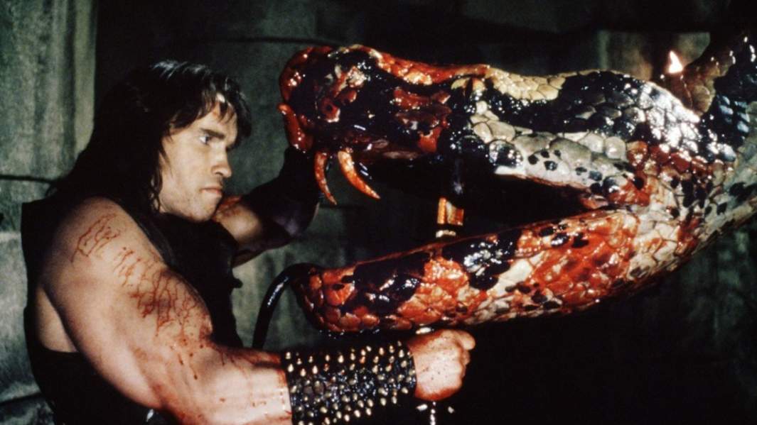 Кадр из фильма «Конан-варвар» с Арнольдом Шварценеггером в главной роли