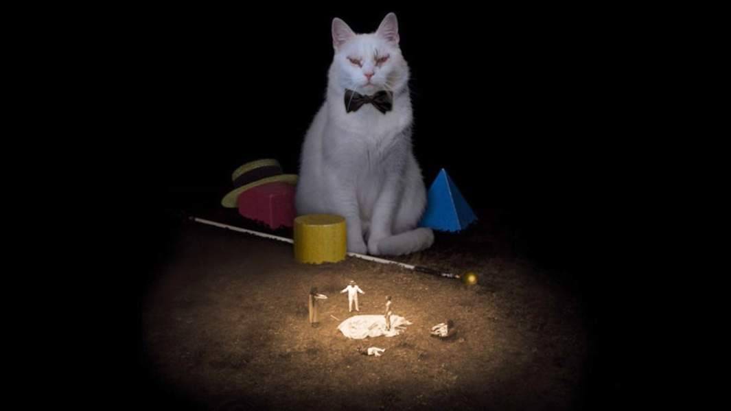 Кадр из фильма «Коко-ди коко-да»