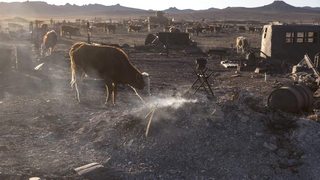 Пожары в Забайкалье