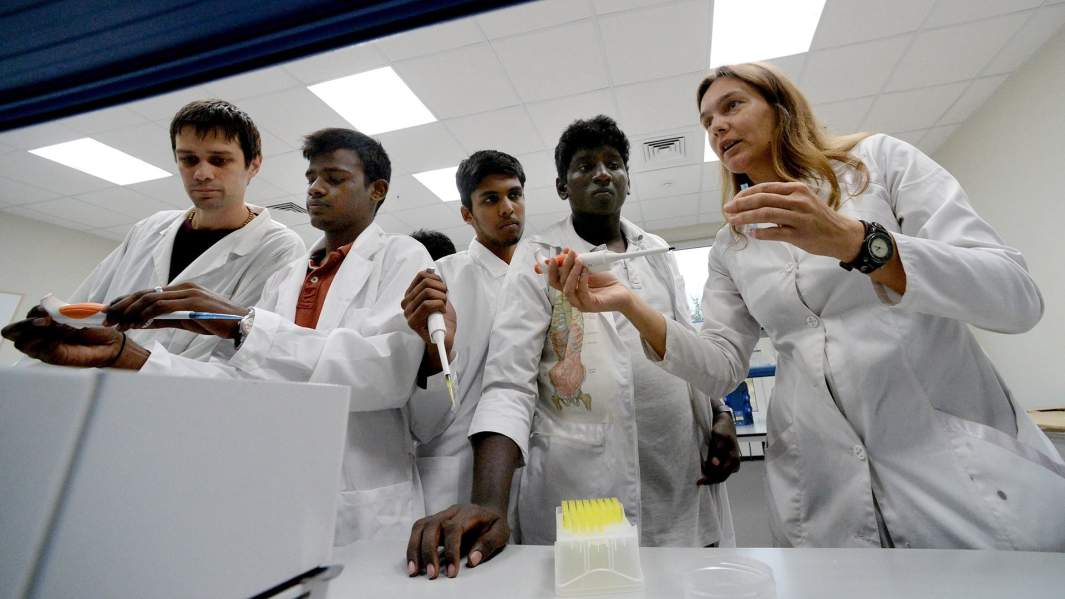 Студенты из Индии на занятиях в кабинете химии в школе биомедицины Дальневосточного федерального университета во Владивостоке