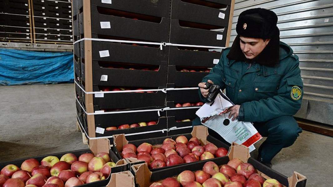 Сотрудник таможенной службы РФ осуществляет осмотр груза