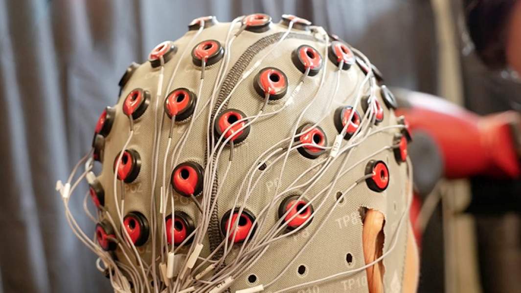 мозг датчики