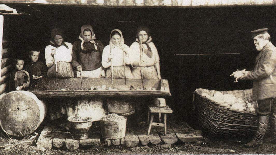 Заготовка капусты на зиму, конец ХIХ века