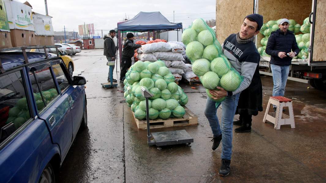 овощи капуста