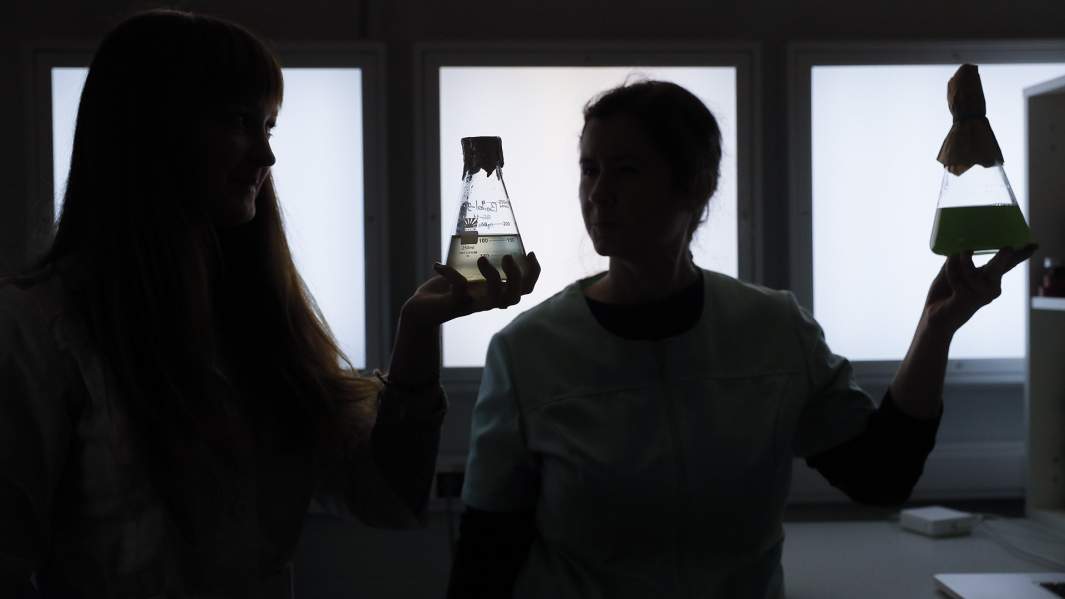 лаборатория 