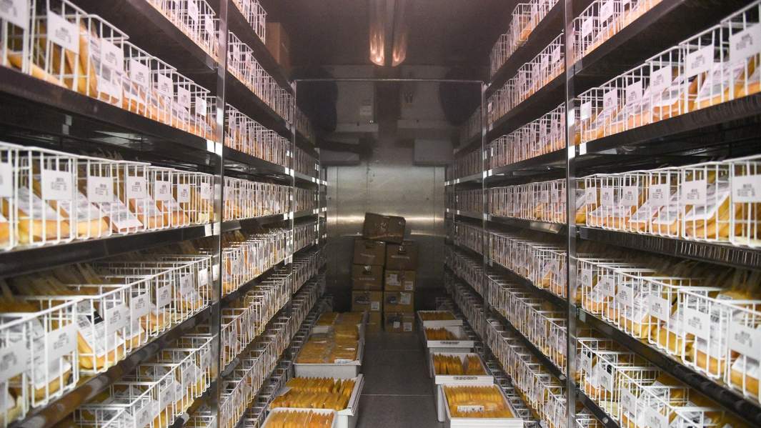 Хранилище крови и её компонентов