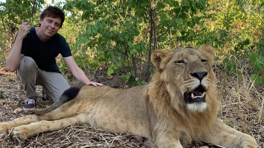 Михаил и дикий лев в Зимбабве 