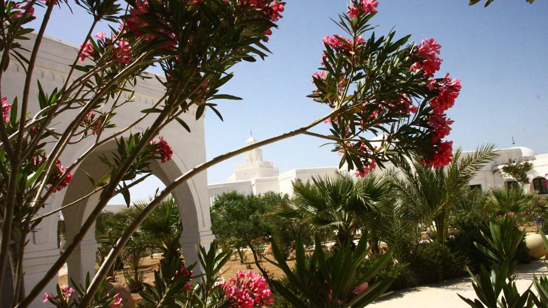 Остров Джерба