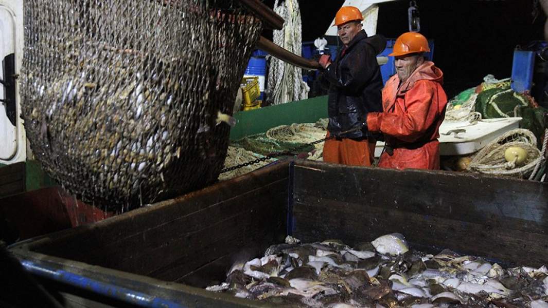 Выборка донного невода и загрузка рыбы в трюм малого рыболовного сейнера «Ураганный»