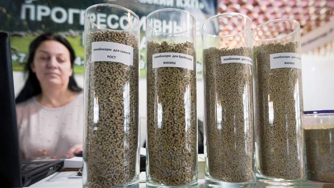 корм комбикорм выставка пробирки