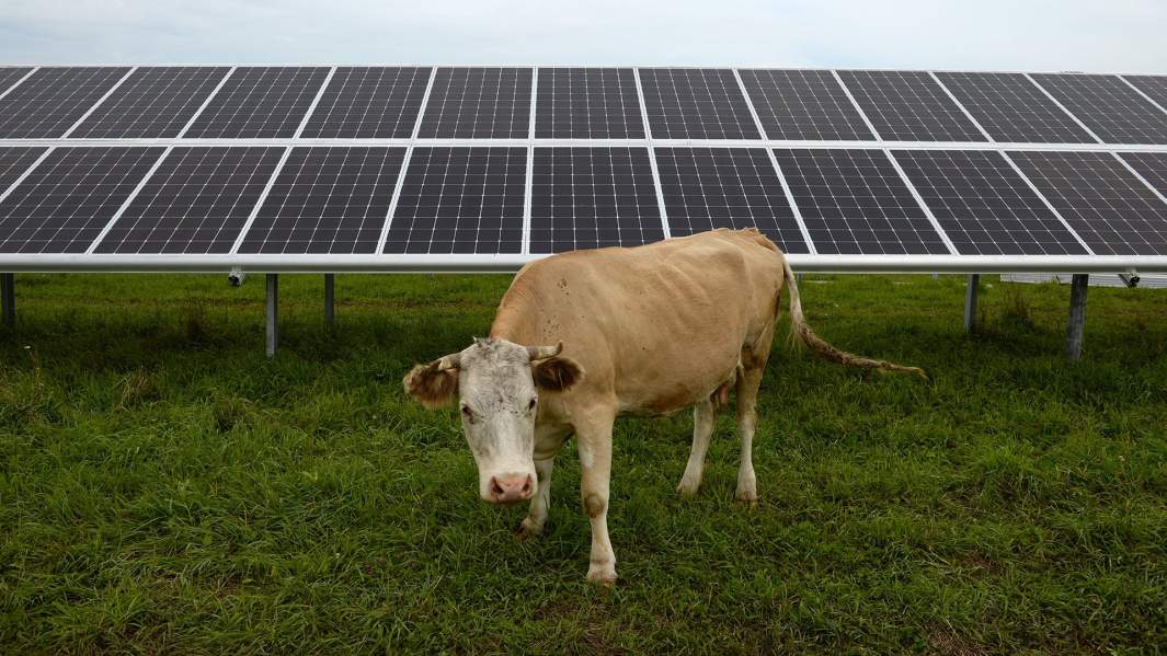 Панели солнечной электростанции 