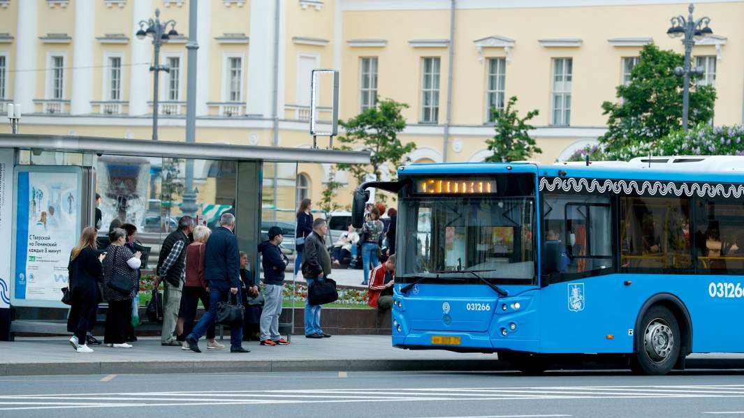 автобус улица транспорт 