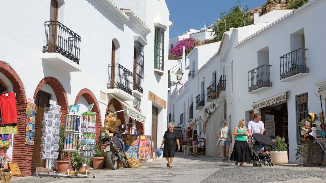 Фрихильяна