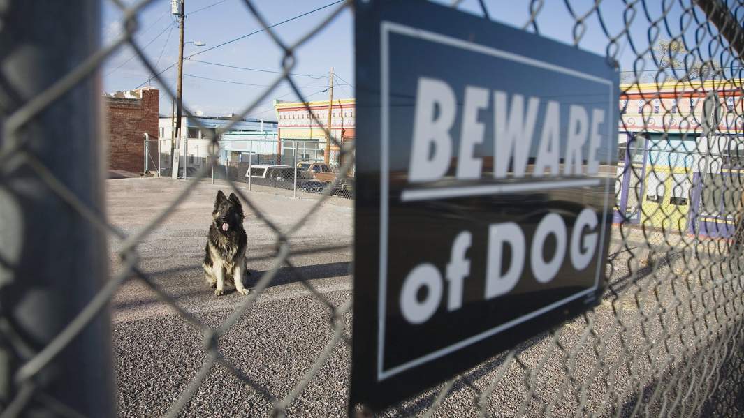 «Берегитесь собаки»