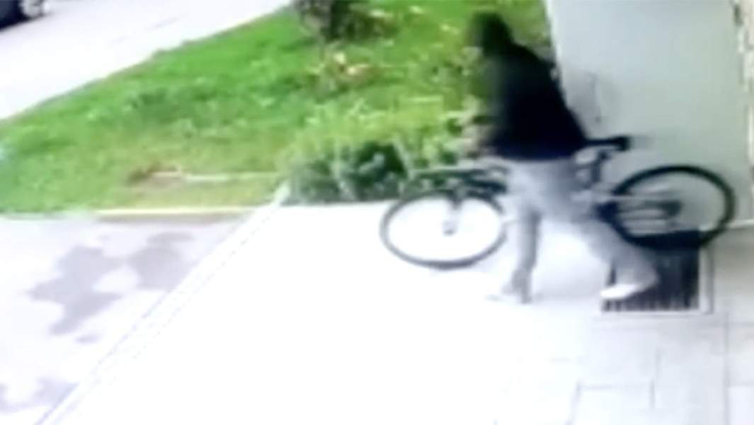 Скриншот видео МВД - подозреваемый угоняет велосипед из жилого дома