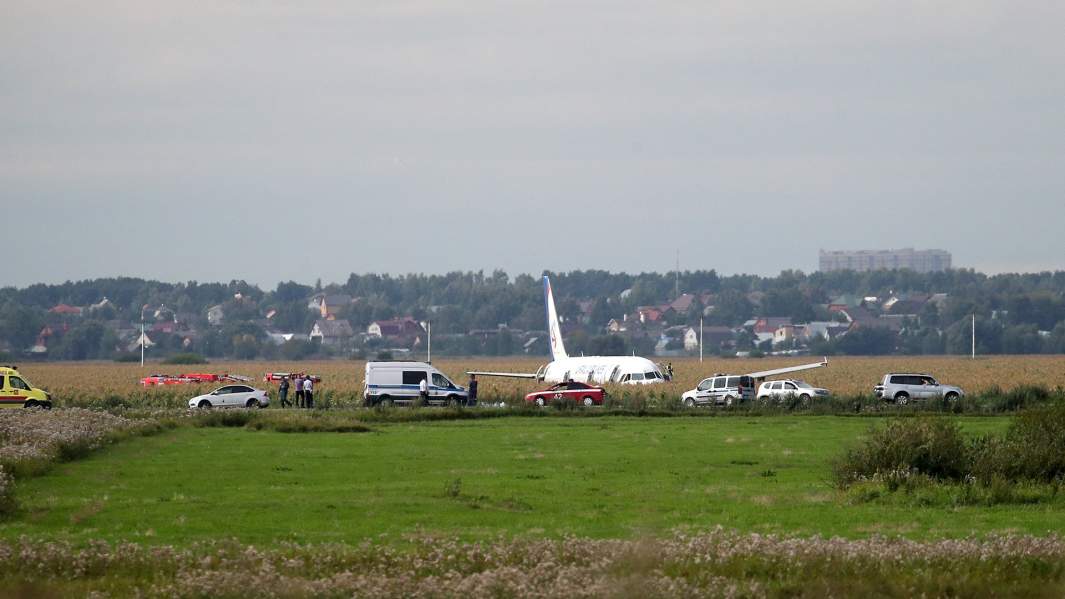 Самолет А-321 авиакомпании «Уральские авиалинии» после аварийной посадки