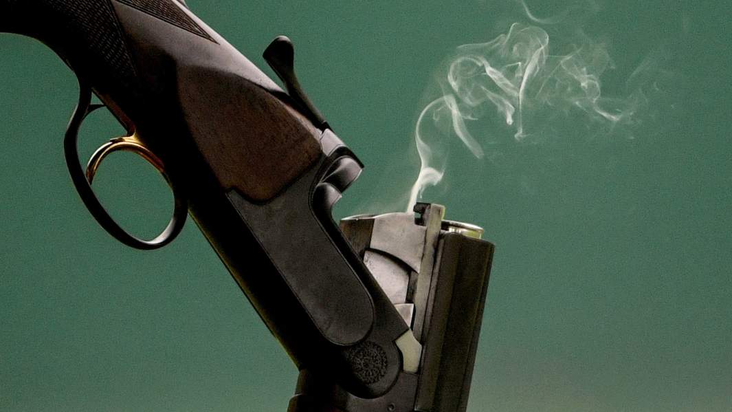 ружье выстрел