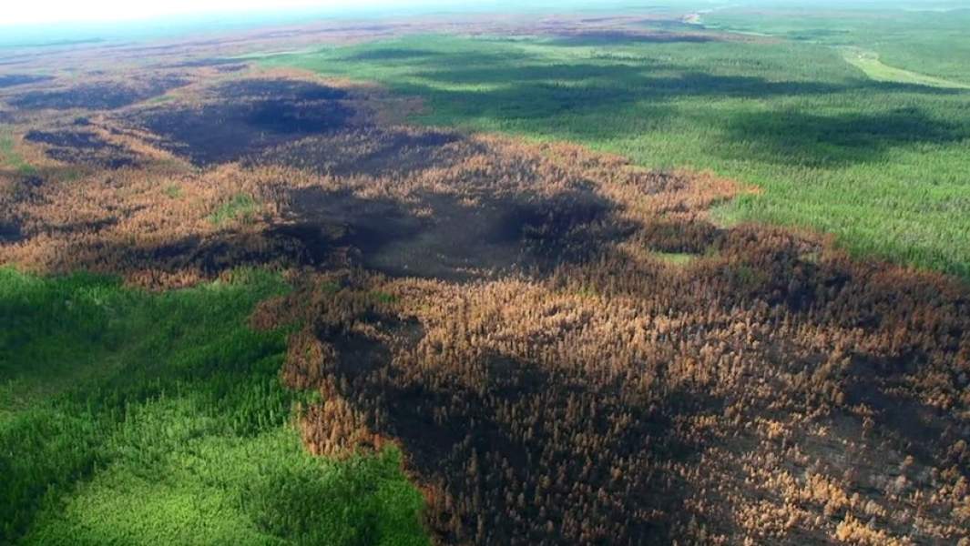 Последствия лесных пожаров в Красноярском крае