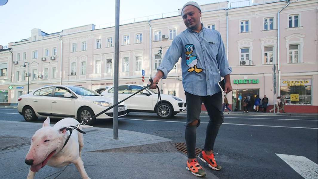 Прохожий с питбулем