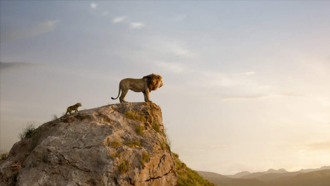 Кадр из фильма «Король Лев»