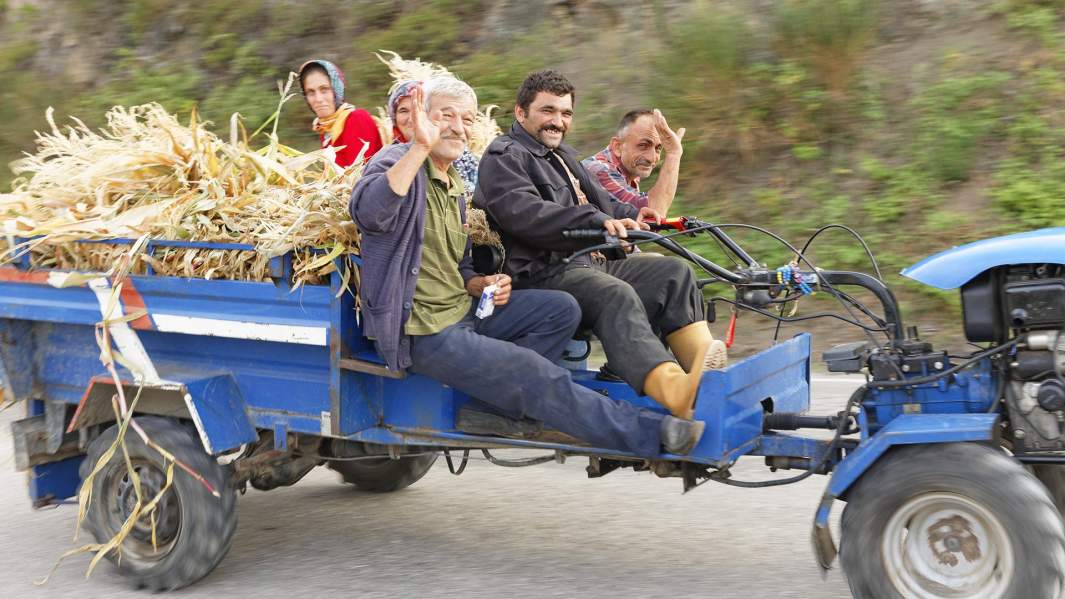 Местные фермеры