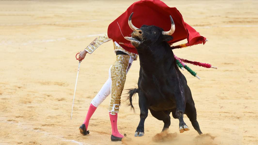 Тореро и бык