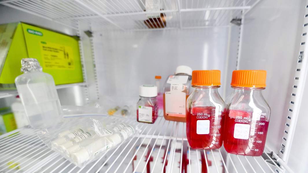 Компоненты, необходимые для культивирования мяса 