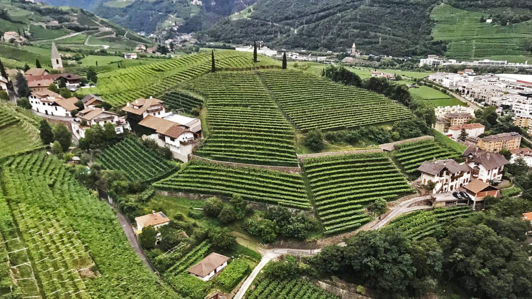 Южный Тироль, виноградники