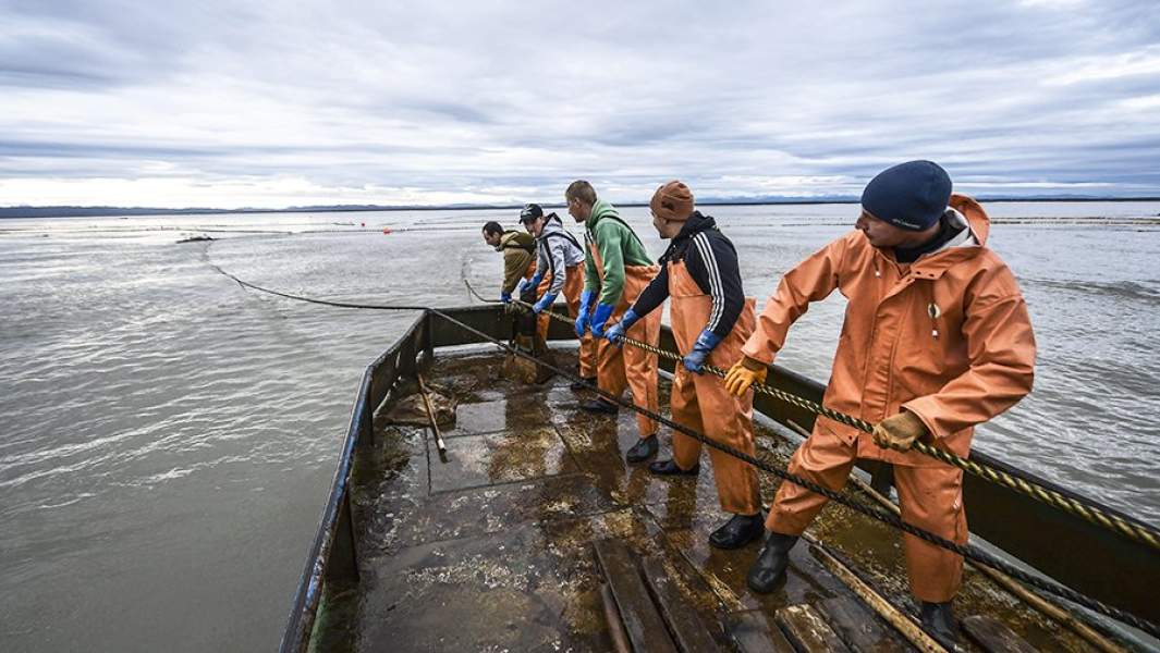 Ловля рыбы в Камчатском крае