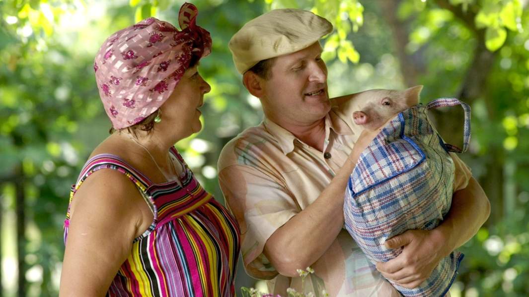 Кадр сериала «Сваты»