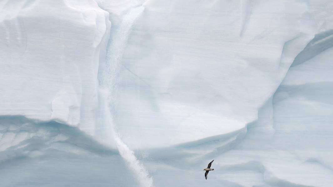 Водопад с талой водой, возникший в одном из ледников