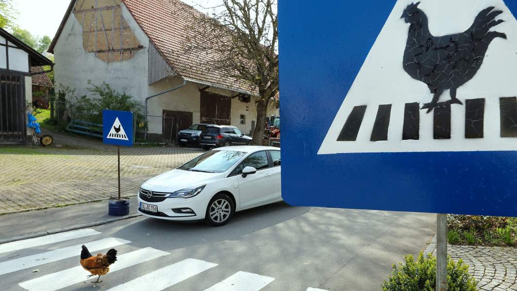 дорожный знак переход для кур 