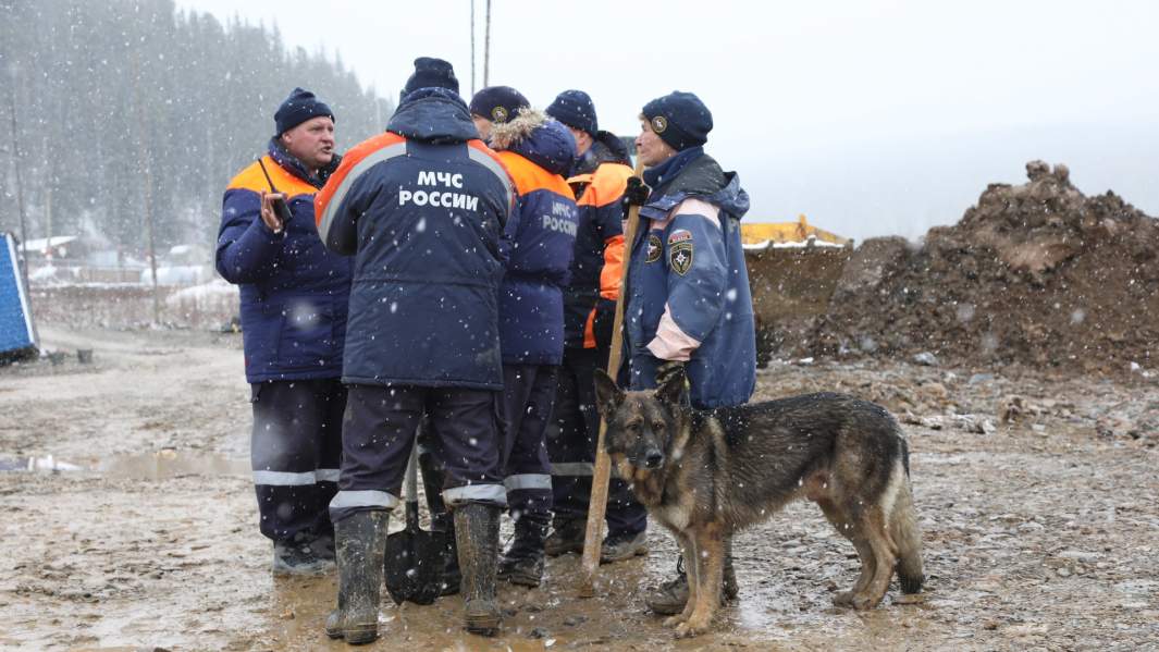 Поисковая бригада
