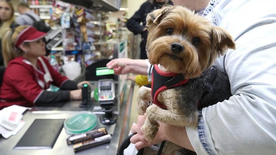 Оплата покупок с помощью карты на кассе