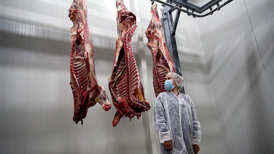 мясо разделка холодильник